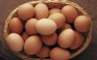 De onderdelen van een ei in bakken