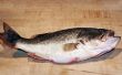 Hoe herken ik een mannelijke Largemouth Bass uit een vrouwelijk