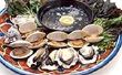 Hoe Grill oesters en kokkels