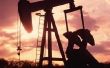 Is er een verschil tussen ruwe olie & Petroleum?
