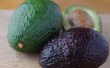 Hoe snel rijpen van avocado 's