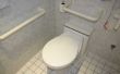 De specificaties van de gehandicapte badkamers