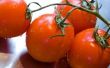 Wanneer Plant tomaten in Pennsylvania?