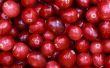 Hoe om te koken van Cranberries in de magnetron