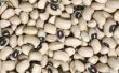 Hoe om te oogsten Black-Eyed Peas