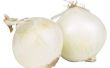 Wanneer Plant en wanneer om te oogsten Onion Sets
