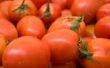 How to Cook Down Plum Tomatoes in saus