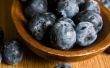 Hoe te zetten van dennennaalden op uw Blueberry struiken