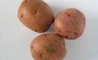 How to Plant rode aardappelen