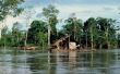 Wat te Pack voor een Amazon Rainforest Trek