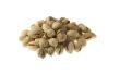 Hoe droog geroosterd rauwe pimpernoten (pistaches)