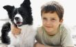 Manieren kinderen kunnen helpen bij Rescue huisdieren