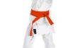 Karate Kid kostuum ideeën