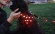 DIY LED hond Vest met riem