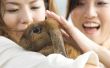 Hoe lang een tamme konijnen leven?