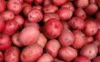 Hoe te bevriezen van rode aardappelen