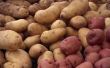 How to Plant roodbruin aardappelen