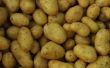 Kunt u het opslaan van aardappelen in de koelkast?