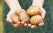 Zijn aardappelen koolhydraten?
