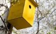 Hoe het gat ingang om kleiner te maken voor een Bluebird huis