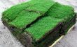 How to Plant Sod