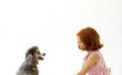 Wat Is beter voor kinderen, een mopshond of poedel?