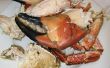 Hoe u kunt opwarmen Stone Crab Claws