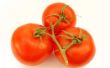Hoe bewaart u verse tomaten uit uw tuin