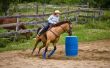 Wat zijn Splint laarzen op paarden voor gebruikt?