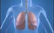 Hoe te reinigen van de longen