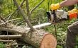 Hoe meet je Board voeten in een logboek voor Timber aanmelding