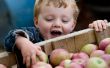 Gezonde Snacks voor One-Year-Olds