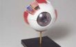Hoe maak je een Model Eyeball met behulp van een piepschuim bal