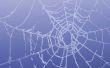 How to Make grote buiten spin Webs voor Halloween