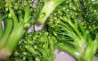 Hoe stoom Broccoli zonder dat het Mushy