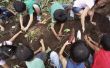 Banen voor kinderen leeftijden 10 tot en met 12