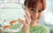 Is er een natuurlijke manier om Dechlorinate Water voor een aquarium?