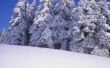 Het Polyfill gebruik te maken van de Look van uw kerstboom als sneeuw