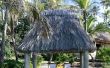 Hoe maak je een Tiki Hut Palm blad dak