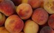 Hoe voor te bereiden van perziken om Peach Pie