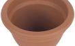 How to Grow Catnip planten in Container potten