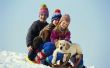 Van Brrrr aan Purrr: huisdier van veiligheid in de Winter