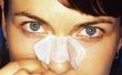 Hoe duidelijk neus poriën