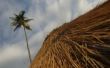 How to Build een Palm-varenblad dak