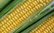 Hoe maïs op de kolf om vers te houden langer