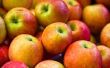 Het verschil in Apple Puree & appelmoes