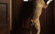 Profs & tegens van een hondje deur geïnstalleerd in de gepleisterde muren