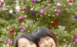 Hoe schrijf je kerstkaarten in Japans