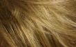 Hoe maak je Blonde haren donkerder thuis