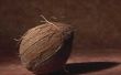 Hoe te bevriezen van pakketten van geraspte kokosnoot
